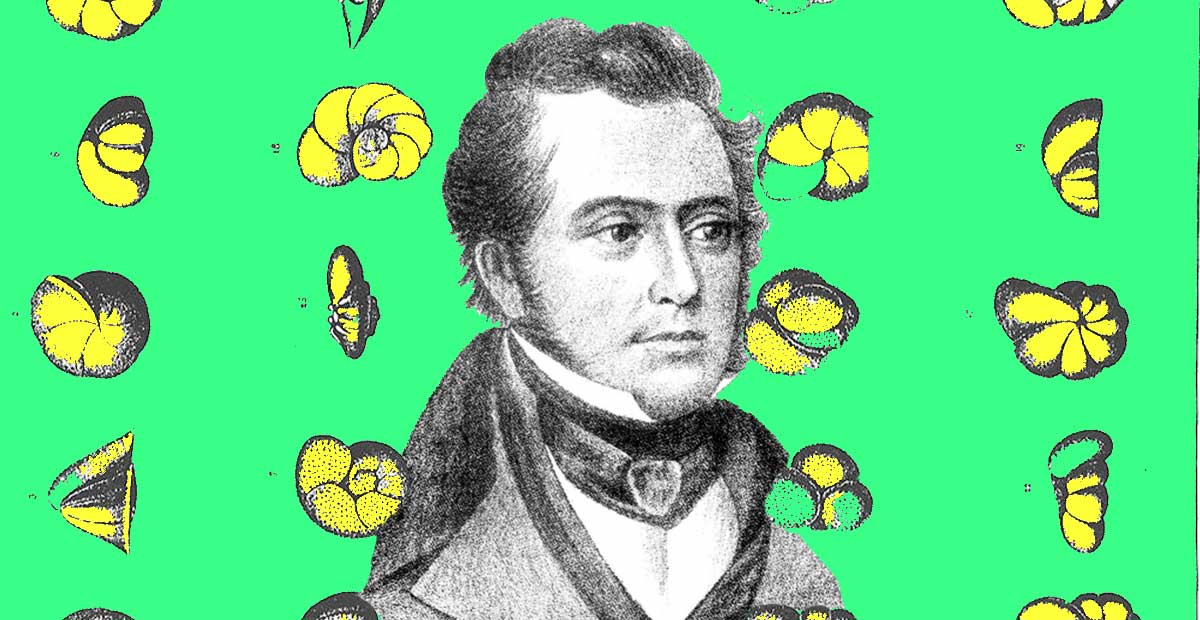 Alcide D'Orbigny