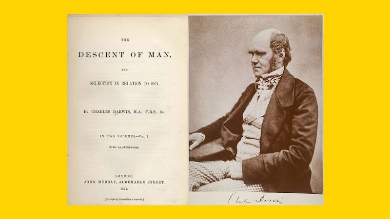 Charles Darwin: Selección natural en naciones civilizadas